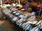 Fresh mackerel, Jagalchi Mraket, Busan