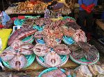 Dried squid (cuttlefish), Jagalchi Mraket, Busan