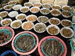 Fresh fish, Jagalchi Mraket, Busan