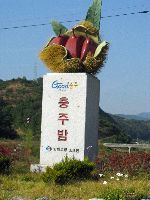 Chestnut monument, Korea