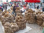 Garlic market, Sangju, Korea