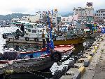 Squid boats, Suchon harbor, Korea