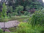 Mayne Island Japanese Garden