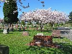 Lakeview Cemetery, Seattle