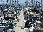 Seattle, Shilshole marina sailboats