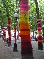 Knitted graffiti, tree sweaters, Pioneer Square, Seattle