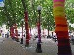Knitted graffiti, tree sweaters, Pioneer Square, Seattle