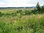 Farmland, between Crofton and Chimainus