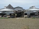 dairy farm in the Stillaguamish Valley