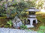 Japanes Garden, Washington Park Arboretum, Seattle
