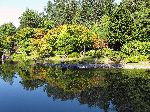 Japanes Garden, Washington Park Arboretum, Seattle