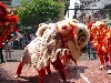 Lion dancing at business opening, Saigon