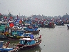 Fishing fleet in port, south of Chu Lai