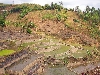 Terraced rice farms, Kon Ray