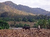 Farm in ethnic minority community