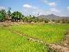 Farm in ethnic minority community