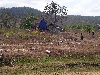 Farm in ethnic minority community