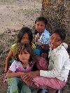 Kids under a tree, Pleibroum