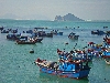 Fishing fleet, Vietnam