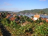 Village with shimp farm in the background, Vietnam